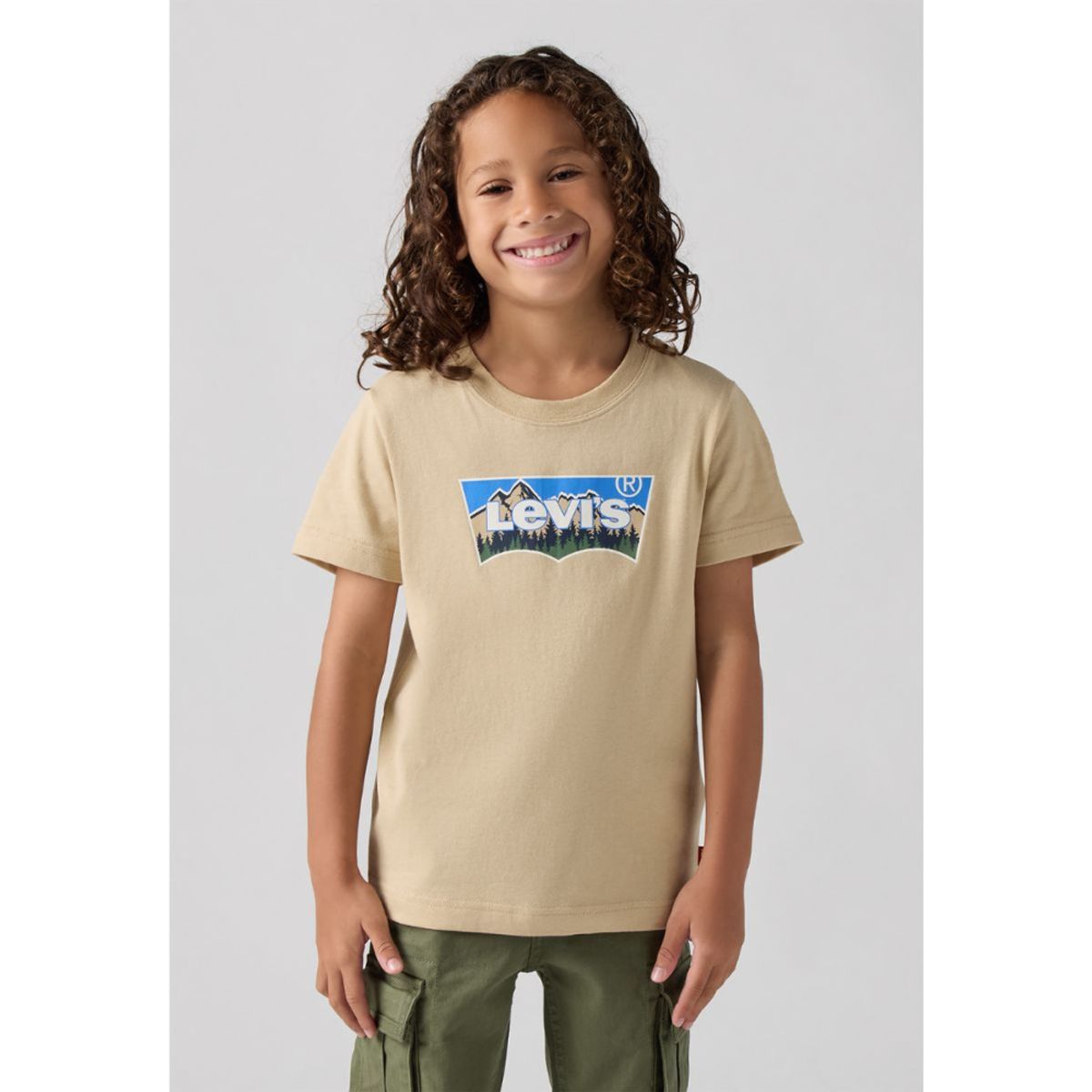 Levi's - T-skjorte Forested Mountains Batwing Safari